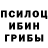 Псилоцибиновые грибы GOLDEN TEACHER Helen Pustovit