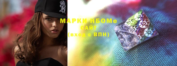 мдпв Новозыбков