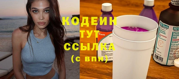 мдпв Новозыбков