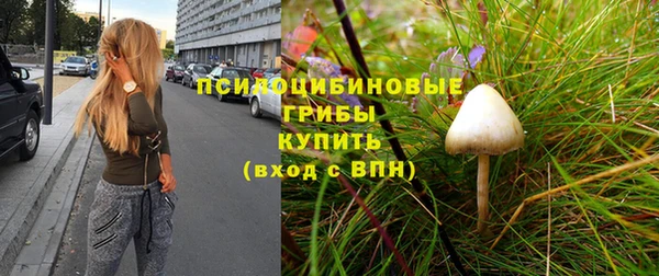 мдпв Новозыбков