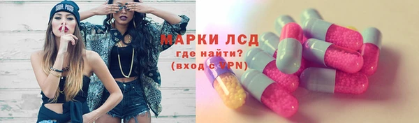 спайс Нея