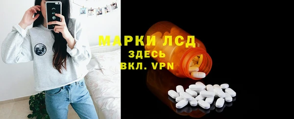 спайс Нея