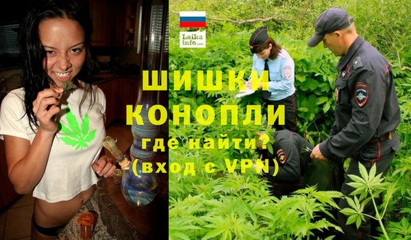 дмт Переславль-Залесский