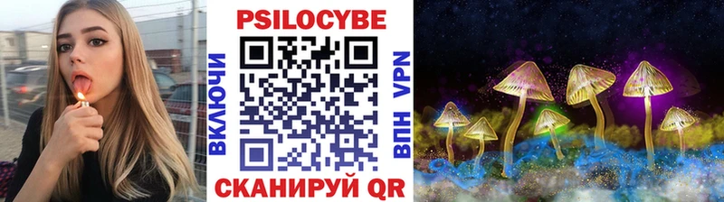 Псилоцибиновые грибы Psilocybine cubensis Северодвинск