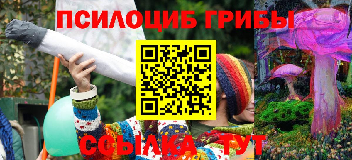 Псилоцибиновые грибы мухоморы  купить закладку  Северодвинск  Вход с VPN 